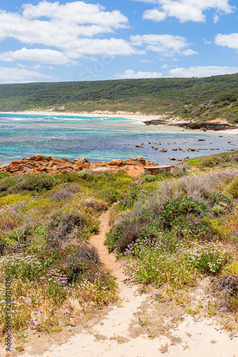 Fotografía Sand path through salt tolerant vegetation on a dune towards the beach at Yallin