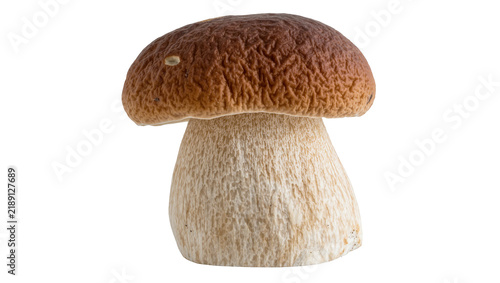Fotografía Brown cap porcini mushroom with thick stem, isolated on transparent background