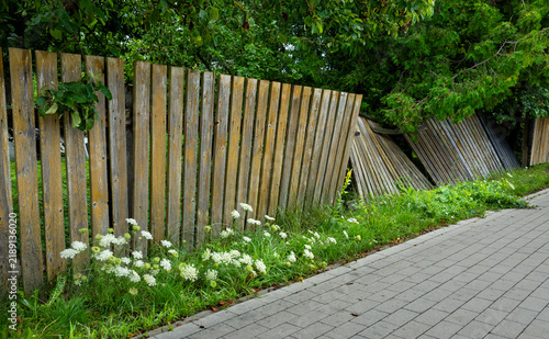 Leaning wooden fence beside summer wildflowers