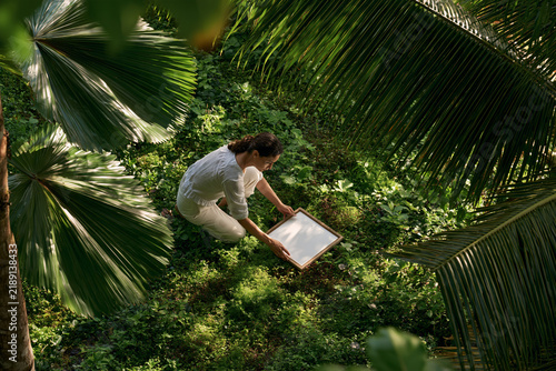 Agronomist Surveying Groundcover in a Coconut Grove
