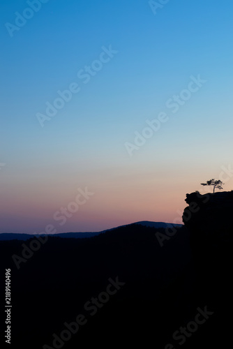 Фотография Lonely pine tree on a rock after sunset in the blue hour with negative space