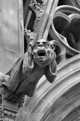 Gargouille de la Basilique Saint-Nazaire-et-Saint-Celse à Carcassonne