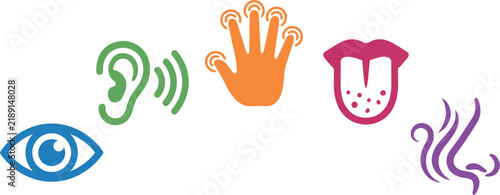 Five human senses flat vector icon set with eye ear hand tongue and nose anatomy symbols