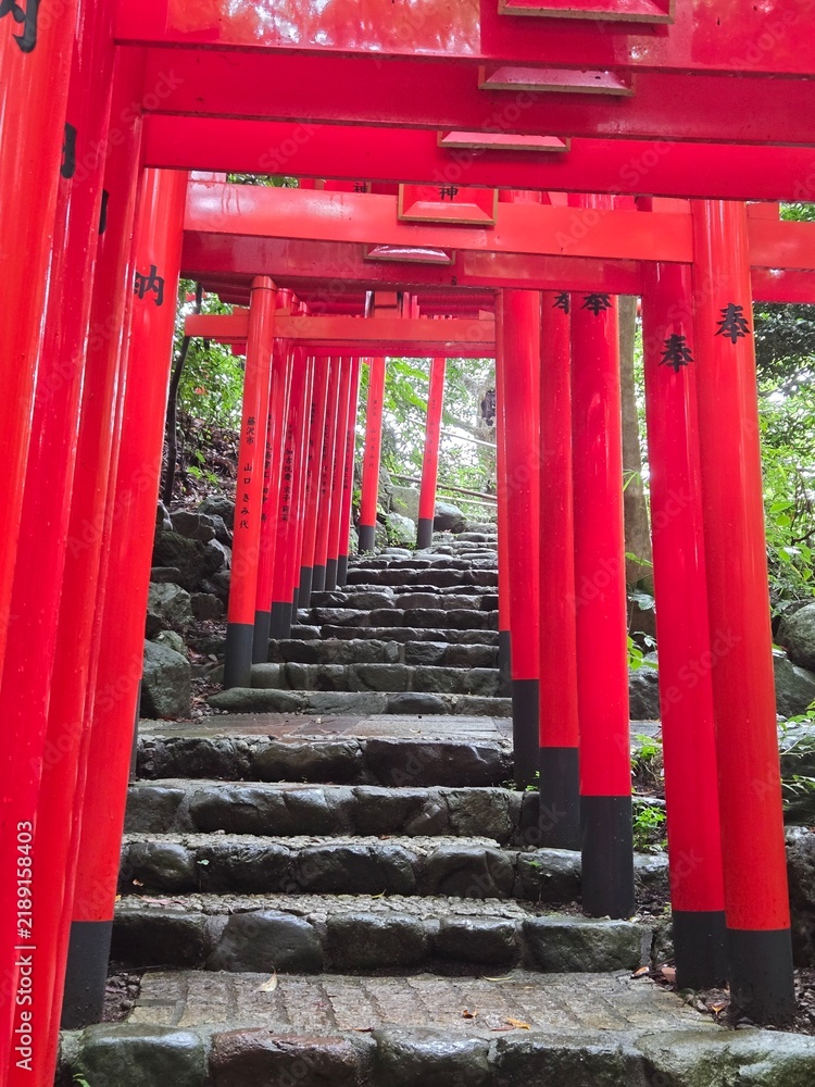 Fototapeta premium A traditional pathway lined with vibrant red torii gates and stone steps winding through a lush green forest at a Shinto shrine in Japan.