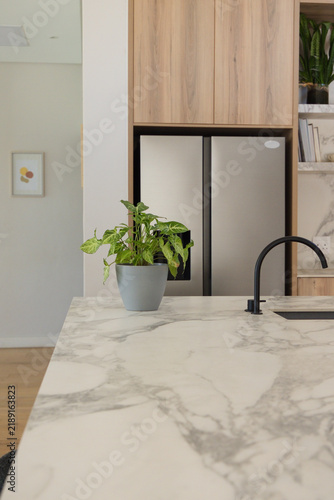 фотографія Potted variegated pothos sitting on marble island in kitchen near black faucet a