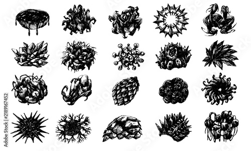 Bild auf Leinwand Hand drawn abstract organic form, surreal bio art ink illustration isolated on white background, strange incomprehensible life structure, original artwork