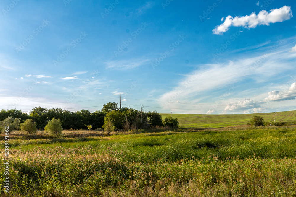 Obraz premium A grassy field with trees in the background