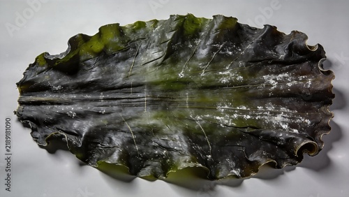 Obraz na płótnie Dried Natural Kombu Seaweed Surface Texture Close Up 