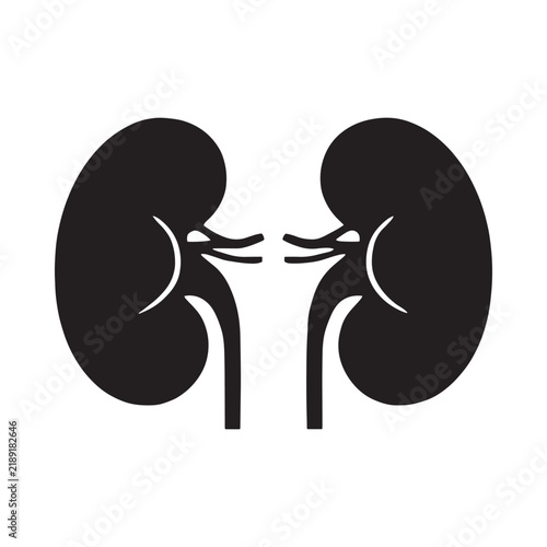 Bild auf Leinwand Kidney silhouette with curved outlines against a white background