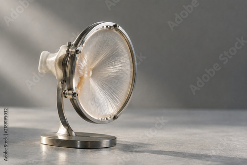 Obraz na płótnie Delicate acoustic eardrum model with biomimetic membrane and metallic frame, hearing science concept