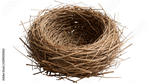 Canvastavla Natural woven bird nest made of twigs and grass, isolated on transparent backgro
