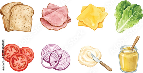 Vector Illustration Watercolor sandwich ingredients set with bread slices, sliced ham, cheddar cheese, romaine lettuce, tomato, onion, mayonnaise, and mustard