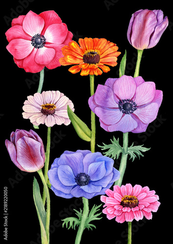 watercolor drawing composition with garden flowers at black background, floral backdrop, hand drawn botanical illustration