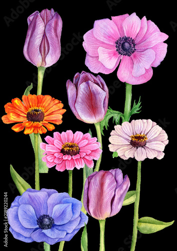 watercolor drawing composition with garden flowers at black background, floral backdrop, hand drawn botanical illustration