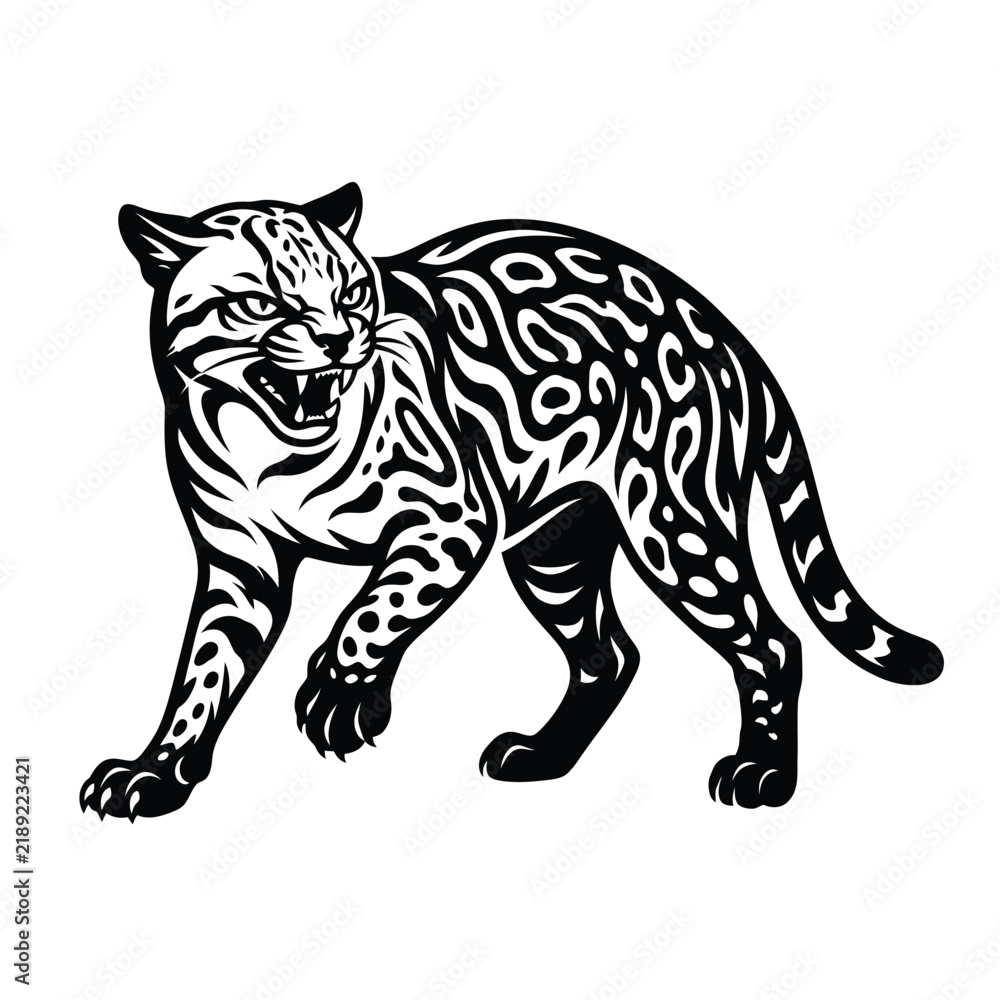 Obraz premium Black and white of a snarling ocelot wild cat leopard
