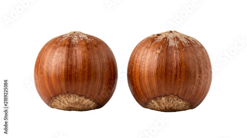 Cuadro en lienzo Two whole raw brown hazelnuts with textured shells featuring realistic organic d