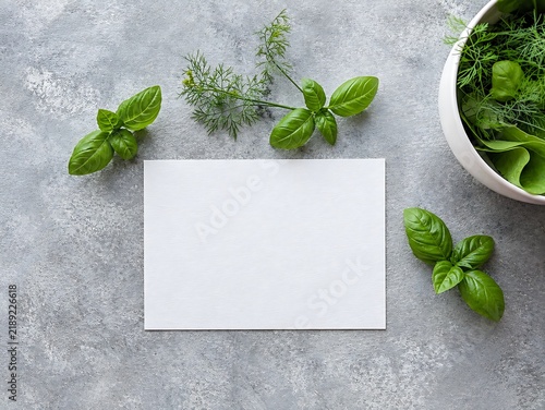 Blank white paper card mockup with fresh green basil leaves and dill on grey concrete background flat lay