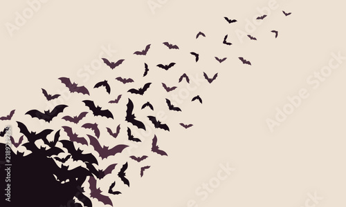 Swarm of flying bats corner frame Halloween spooky cave flock silhouettes