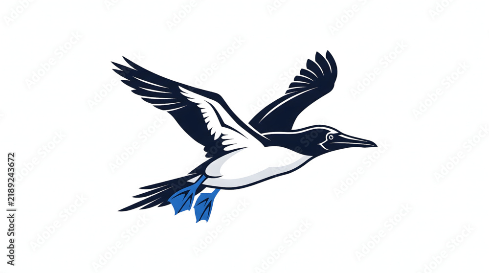 Obraz premium Blue-footed booby bird in flight with wings spread wide against a clear blue sky background