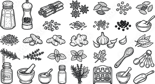 Set of hand drawn culinary herbs and spices icons for cooking and kitchen design elements