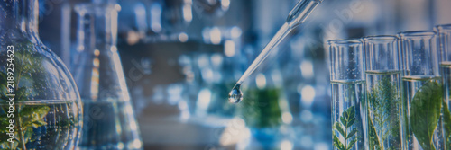 Plant Biotechnology Laboratory Research with Test Tubes and Pipette