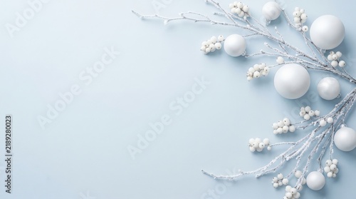 Frosted Branches with Matte White Decorative Spheres