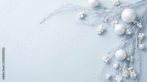 Flowing Winter Twigs and White Berries on Powder Blue