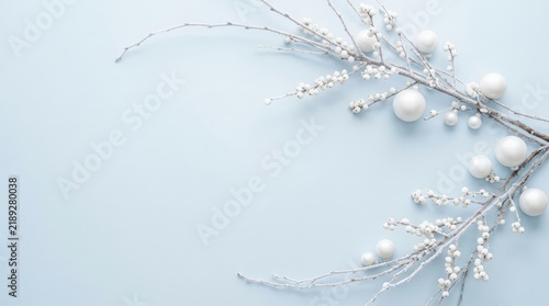 Elegant Diagonal Frosted Branches Framing Empty Space