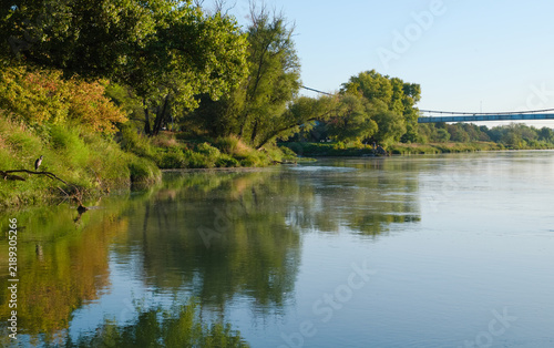 Konstfotografi Le Vieux Rhône à Vernaison au matin avec reflets d'arbres, héron perché et pont suspendu à l'arrière-plan