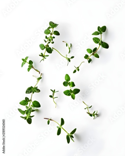 floating thyme leaves minimal herb isolated on white background