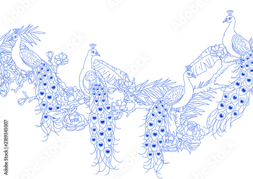 Seamless line border with peacocks. Tropical exotic birds. Wild fauna of jungle.