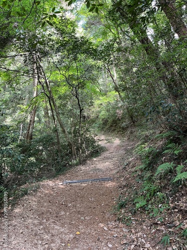 臥牛山の山道