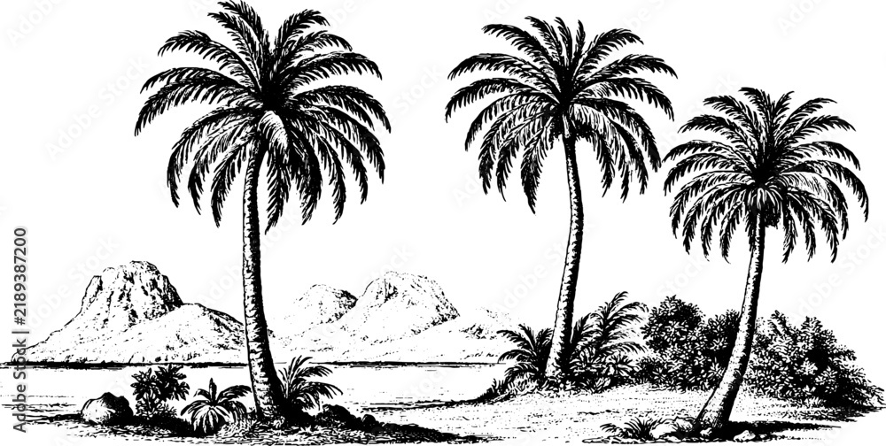 Obraz premium Antique engraved mexican palm trees coastal landscape isolated on white for tropical poster background and vintage travel design