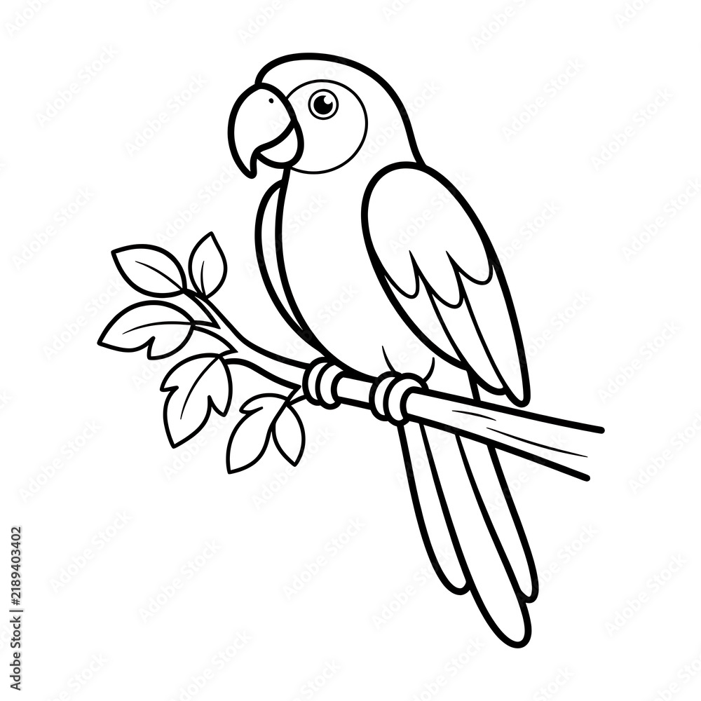Fototapeta premium Cute Parrot Tropical Bird Black Outline Coloring Page