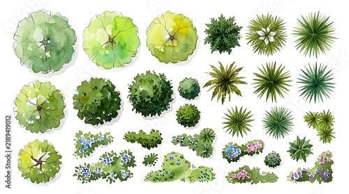 Watercolor top view trees and bushes collection vector isolated on transparent background, hand-drawn landscape architectural symbols with palm tops, green canopy, and flower beds for master plan desi