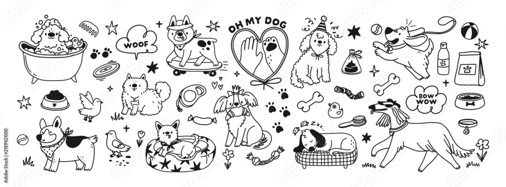 Obraz premium Cute dogs. Doodle pet character. Funky doggies of different breeds walking, playing, sitting. Outline animal toy, accessories, treats. Pet friendly store. Vector set