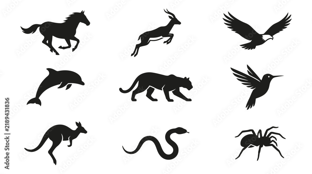 Obraz premium Black silhouettes of various wild animals.