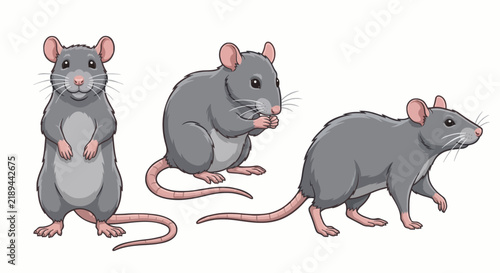 Rat character set in various poses on white background