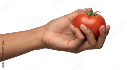 Canvastavla Curled fingers cradling a shiny red tomato at the fingertips with its leafy caly