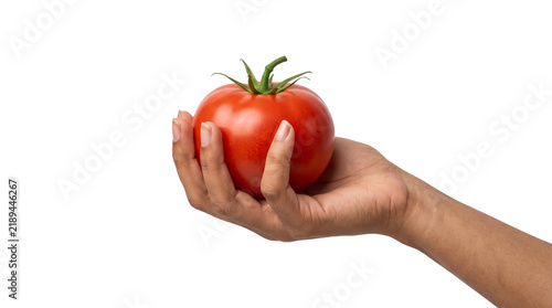 Canvastavla Hand holding a ripe red tomato with its green star shaped calyx sitting on top f
