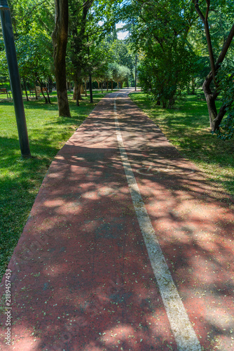 A scenic park path lined with lush green trees and dappled sunlight