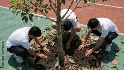Volunteers Plant Tree Sapling in Urban Park.