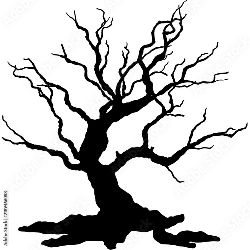 Dead Leafless Tree Silhouette Illustration Isolated