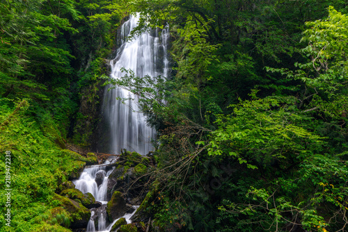 Mikaeri Waterfall surrounded by lush green forest in Dakigaeri Gorge, Semboku, Akita, Japan