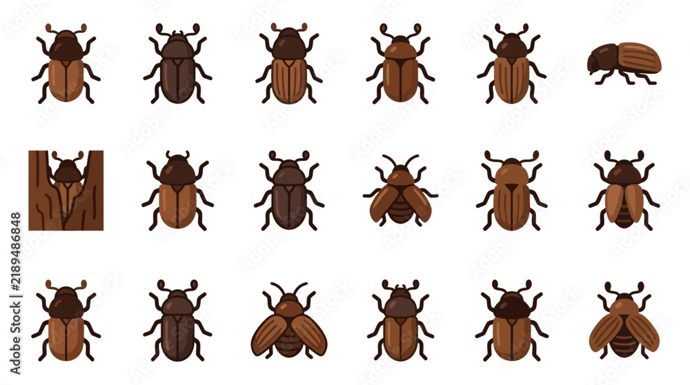 Fototapeta premium Bark beetle icons showing wood tunneling and tree damage