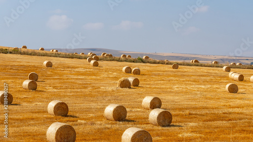 Golden hay bales scattered across a vast, sun-drenched agricultural field