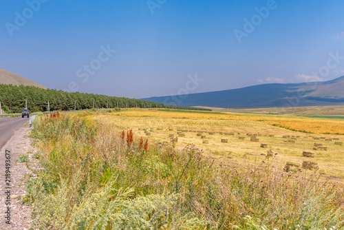 Golden hay bales dot a vast field under a clear blue sky with distant hills