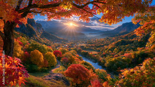 紅葉したカエデ越しに山あいの渓谷と川を望む秋の風景
