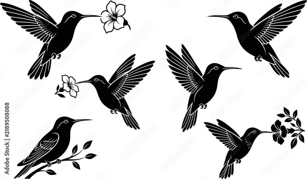 Obraz premium Black silhouette collection of hummingbirds in flight and perched with flowers