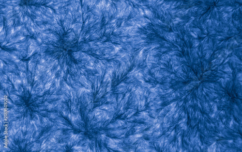 Obraz na plátně Dark blue crystalline dendritic horizontal banner background texture